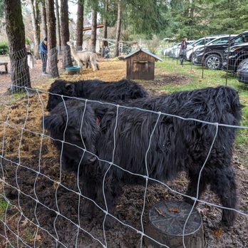 Infinity Farm Issaquah - Venues & Event Spaces Near Me - Issaquah, Washington