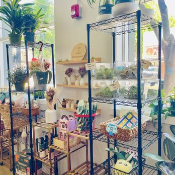 Bloomsgiving - Florists Near Me - Mountain View, California