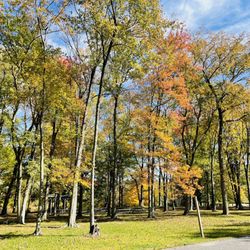 Pascack Brook County Park - A little more