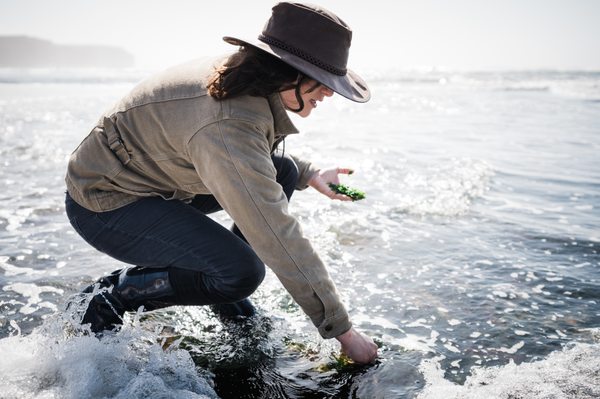 Canyon Ranch Woodside by null Canyon Ranch Woodside by null