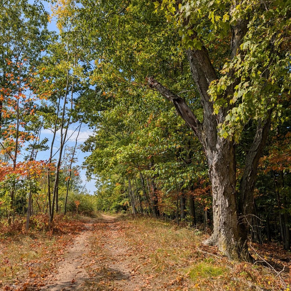 Pine Ridge Sporting Clays - Gun/Rifle Ranges Near Me - Shelby, Michigan Pine Ridge Sporting Clays - Gun/Rifle Ranges Near Me - Shelby, Michigan