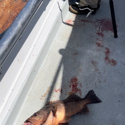 Stardust Sportfishing