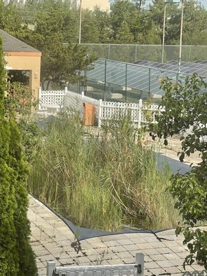 Oh St Joseph Resort Hotel by null