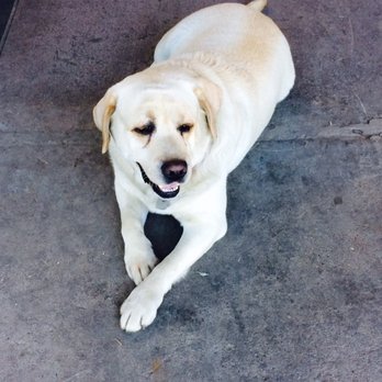 LJB Farms - Cutie greeting customers :) - Grocery Near Me - San Martin, California