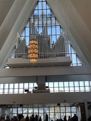 Arctic Cathedral by null