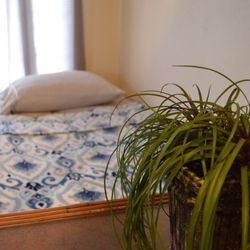 The Lahaina Beach House