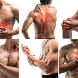 Loyola Physical Therapy - Various ailments in a body.