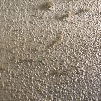 Clean Conscience - Walls - Home Cleaning Near Me - Lafayette, Colorado