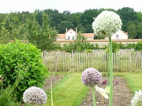 Jardin botanique universitaire