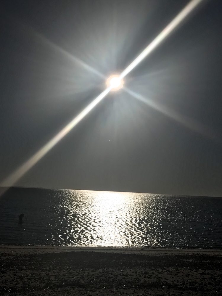 LONG BEACH Updated October 2024 11 Photos Oak Bluff Ave