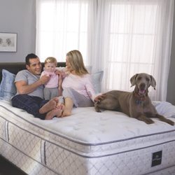 Conejo Valley Mattress - Serta Perfect Sleeper