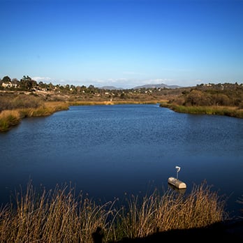 Calavera Lake - Hiking Near Me - Carlsbad, California