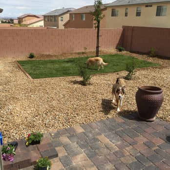 WaterWise Landesign - two dogs in a backyard - Landscaping Near Me WaterWise Landesign - two dogs in a backyard - Landscaping Near Me