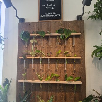 SarahCotta Plants - Nurseries & Gardening Near Me - Glendale, California SarahCotta Plants - Nurseries & Gardening Near Me - Glendale, California