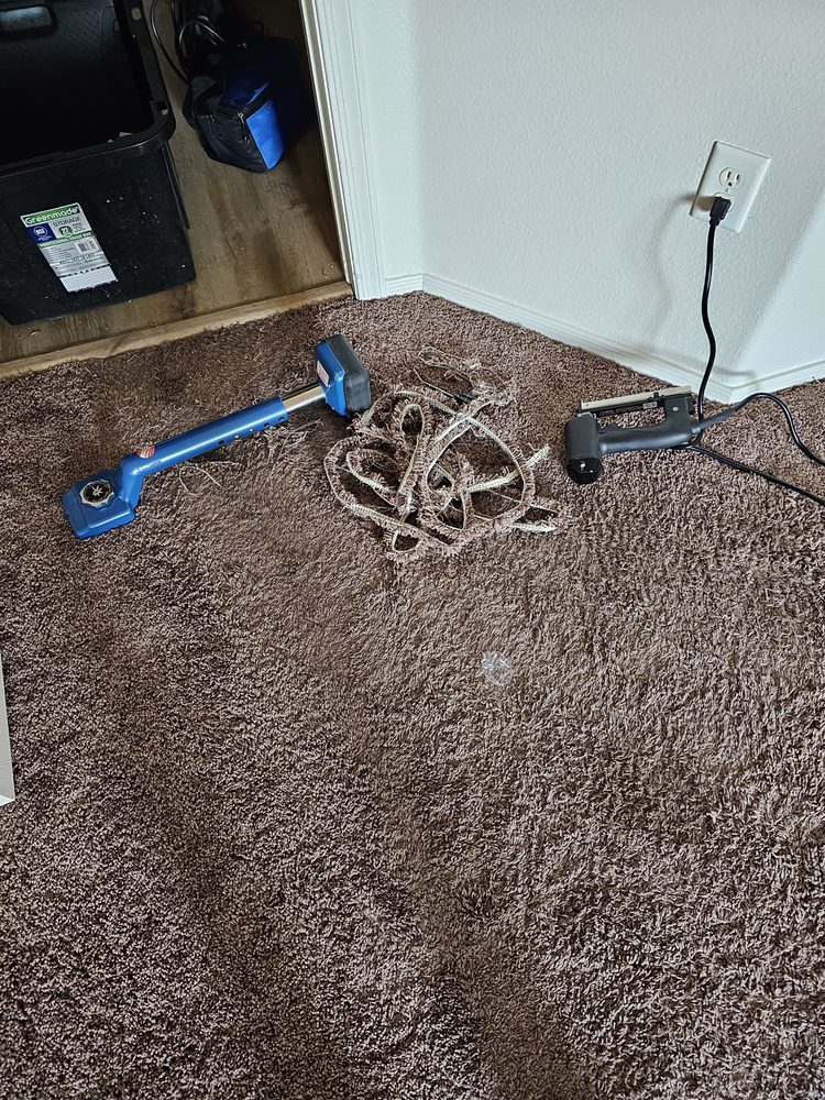 BULLDOG CARPET CLEANING - Updated December 2024 - 189 Photos & 30