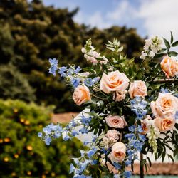 Flowers by Lady Buggs - I was blown away by the flowers for the chuppah