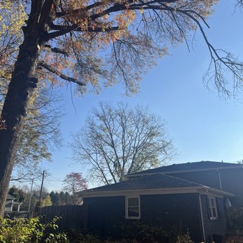 Big Brothers Tree Service - All branches cleared from over the home - Tree Services Near Me Big Brothers Tree Service - All branches cleared from over the home - Tree Services Near Me