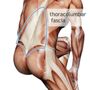 The Studio Massage Therapy