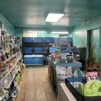 Wachter Hay & Grain - Fish - Pet Stores Near Me - Ojai, California