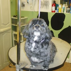 Mary's Pet Grooming & Supplies Inc