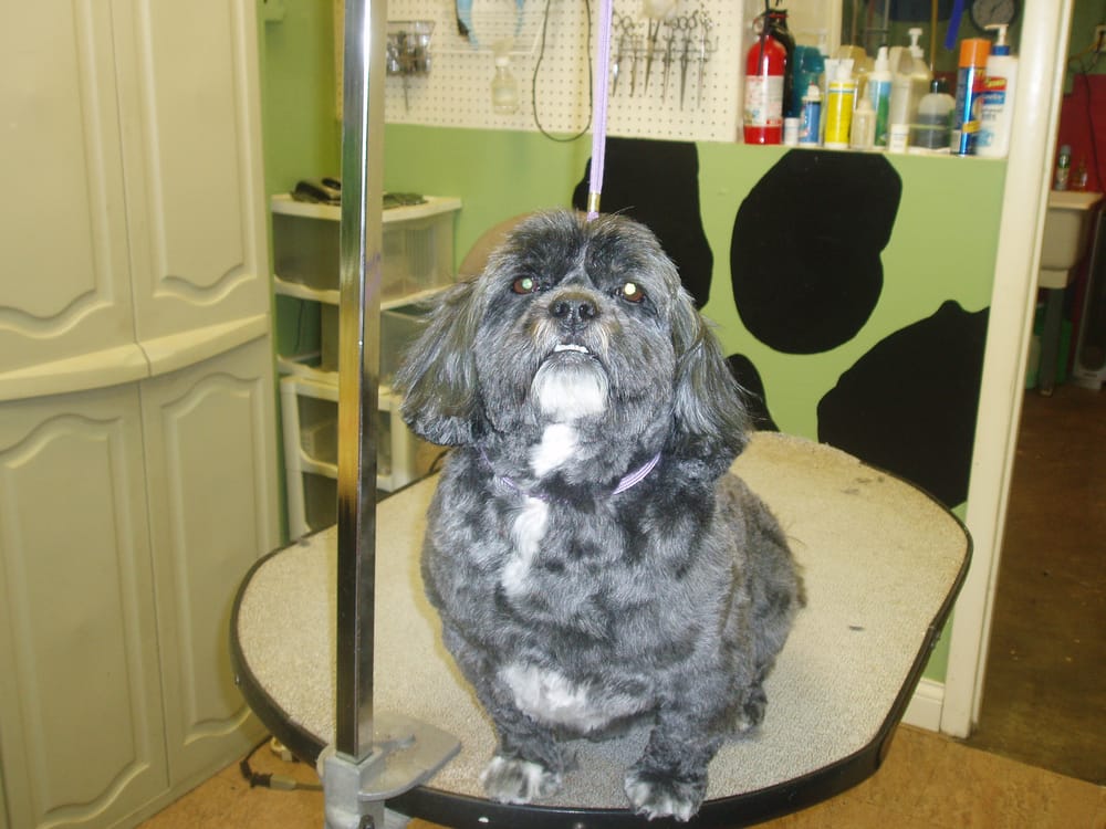 MARY’S PET GROOMING & SUPPLIES INC Updated August 2024 3551 Brannon