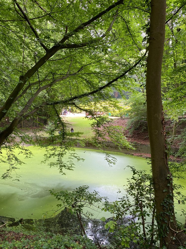 PARC D’OSSEGHEM / OSSEGEMPARK - Parc d'Osseghem, Bruxelles, Belgium ...