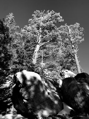 Palm Springs Aerial Tramway by null Palm Springs Aerial Tramway by null