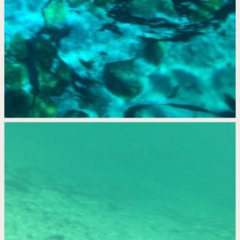 DeLeon Spring State Park - Comparison between Silver Glen Spring (top) and DeLeon Spring (bottom). Both pictures were taken with the same camera at a similar depth. - Parks Near Me - De Leon Springs, Florida DeLeon Spring State Park - Comparison between Silver Glen Spring (top) and DeLeon Spring (bottom). Both pictures were taken with the same camera at a similar depth. - Parks Near Me - De Leon Springs, Florida