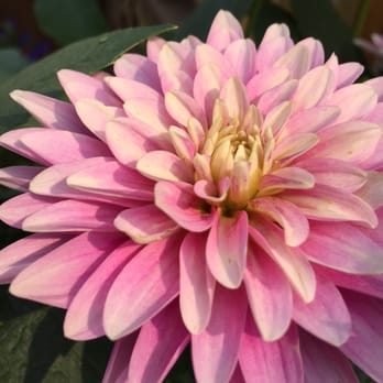 St Albert Botanic Park - Botanical Gardens Near Me - St Albert, Alberta