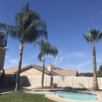 Quality Tree Service - After - Tree Services Near Me