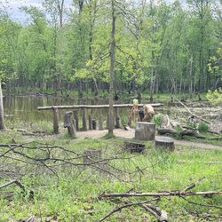 LaBagh Woods