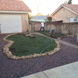 The sod we purchased.