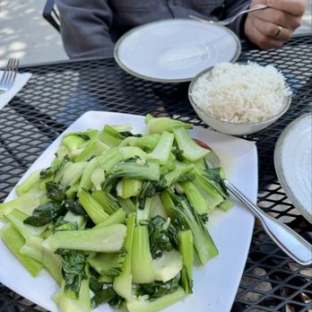 Chow‘s Kitchen - Bokchoy - Shanghainese Near Me - Pittsburgh, Pennsylvania Chow‘s Kitchen - Bokchoy - Shanghainese Near Me - Pittsburgh, Pennsylvania