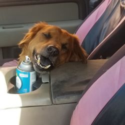 Hunters Skilled Craftsman and Professional Home Repair Services