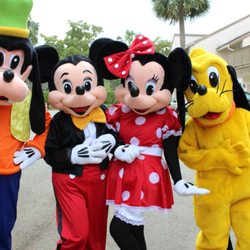 Give us a call 954.696.3522