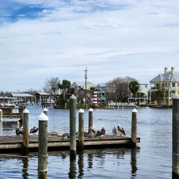 Crump's Landing - a group of pelicans on a dock - American Near Me - Homosassa, Florida Crump's Landing - a group of pelicans on a dock - American Near Me - Homosassa, Florida