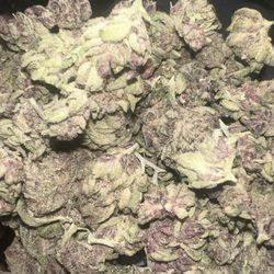 Black Lotus - Their THCa flower