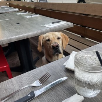 Kitchen 15 - Dog friendly - Breakfast & Brunch Near Me - Sacramento, California