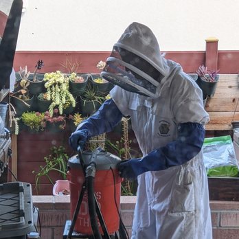 Anthony's Bee Removal Co. - Pest Control Near Me - San Diego, California