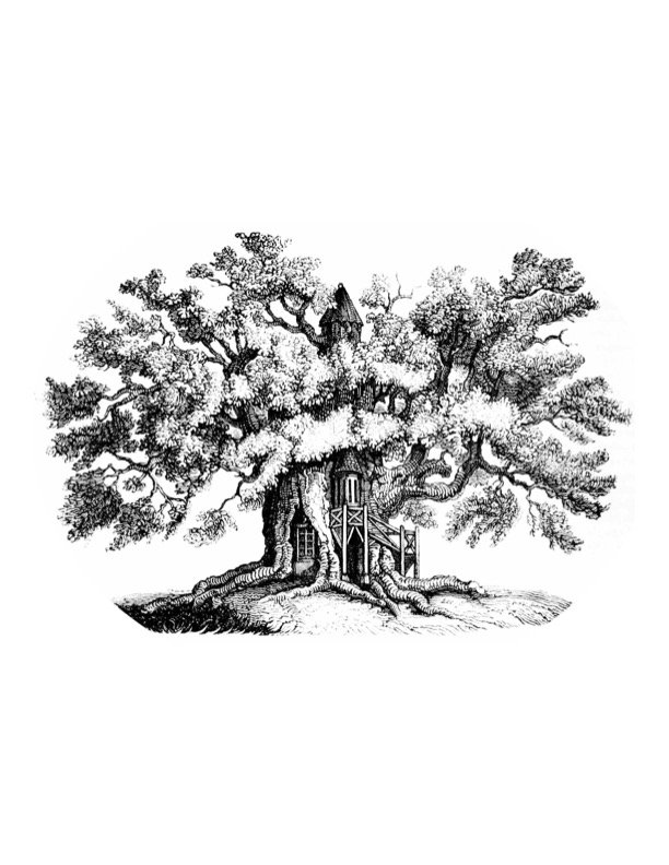 Moppets - childcare center in Woburn, MA