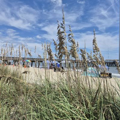 Tybee Beach Pier and Pavilion by null
