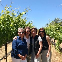 Green Dream Tours - What are you celebrating?