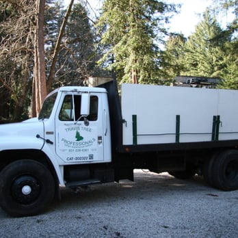 Travis Tree Professionals - Tree Services Near Me - Boulder Creek, California