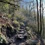 Poo Poo Point - Chirico Trail