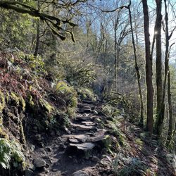 Poo Poo Point - Chirico Trail