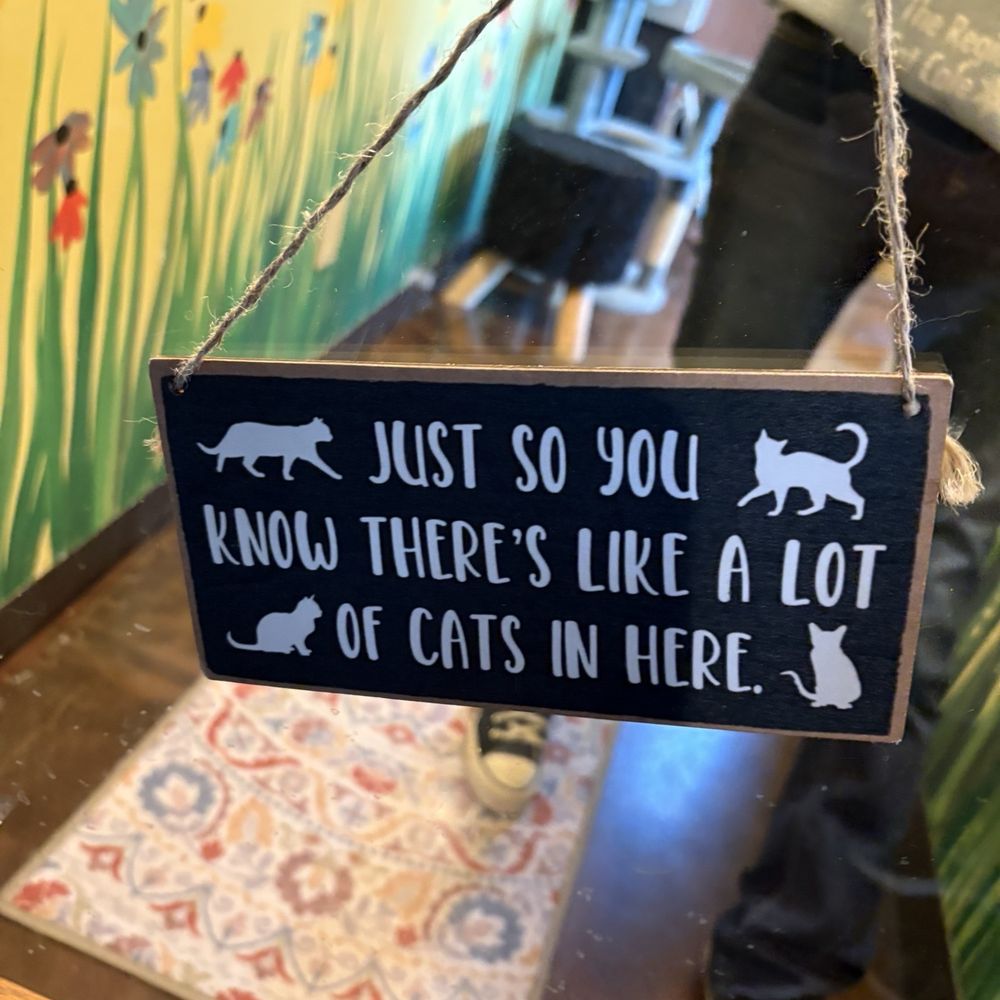Cat Cafe Ravenswood, Chicago, IL - Last Updated January 2026 - Yelp
