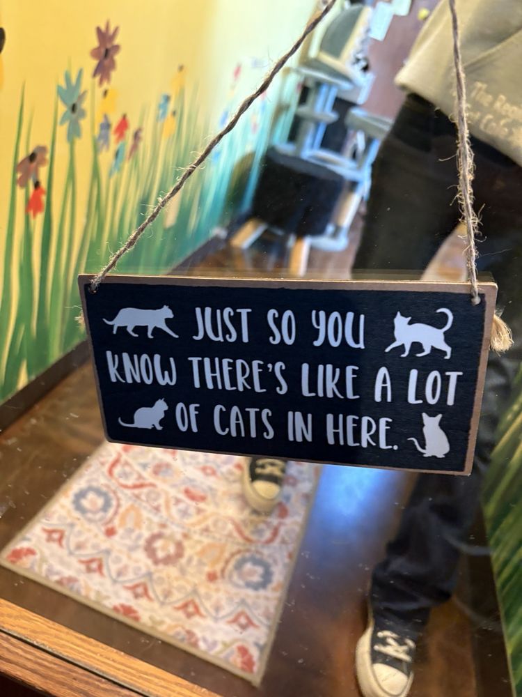 The Region Cat Cafe Logo