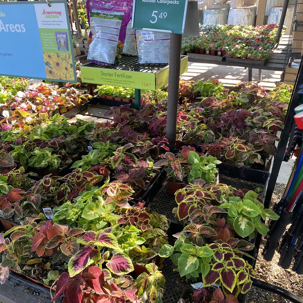 Armstrong Garden Centers - Nurseries & Gardening Near Me - Thousand Oaks, California Armstrong Garden Centers - Nurseries & Gardening Near Me - Thousand Oaks, California