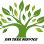 Photo of DSI Tree Service