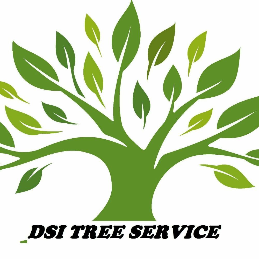 DSI Tree Service - tree service in Midvale, UT